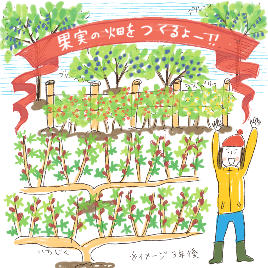 果実の畑を作るよ はなうた イラストレーター シミキョウ 果実の畑を作るよ はなうた イラストレーター シミキョウ