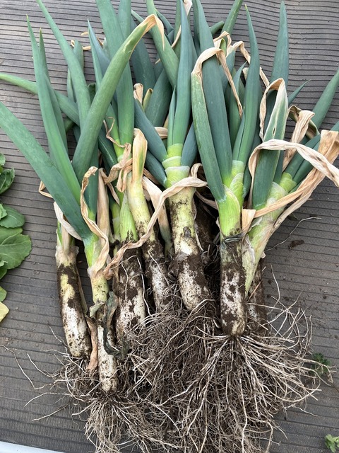 BD7AF817-E581-4C21-ADC9-DF9830188E4A