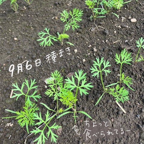 5B9707A4-C242-4C69-B2E3-1B5F5E08A3E7