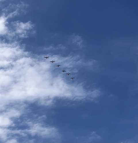 AD9003F0-C13C-4712-9820-D73E5148DF06