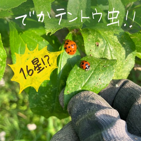 00ADF869-A59B-4C81-9846-6E0D47334456