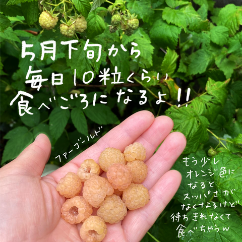 42BCBD20-8653-407C-86B1-B5FA1A57A45B