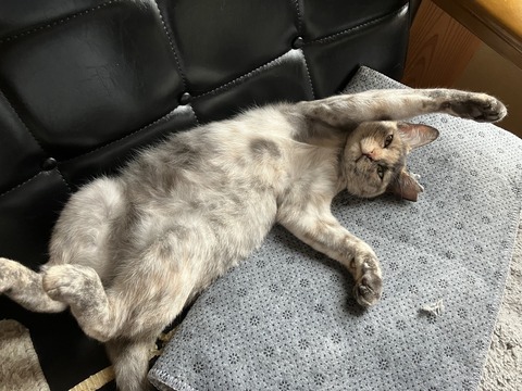 25BFA674-384F-4CBD-933A-235740E3A894