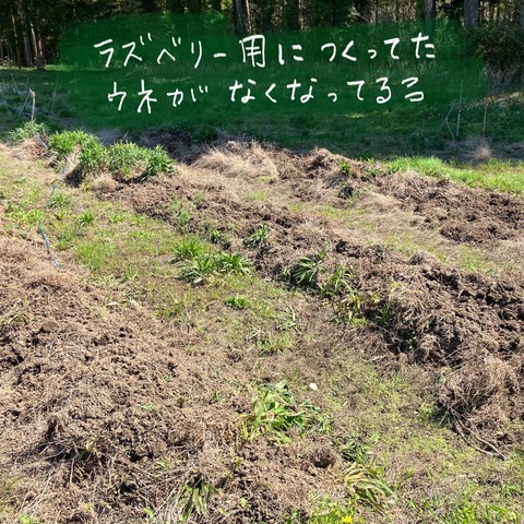 F00D72A1-5B6B-4083-A88B-31B71545ED4F