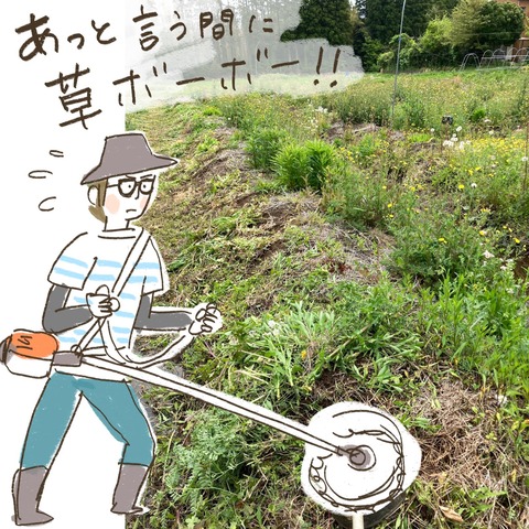 368B7E3B-8C13-4A73-8FA0-665DE90E1154