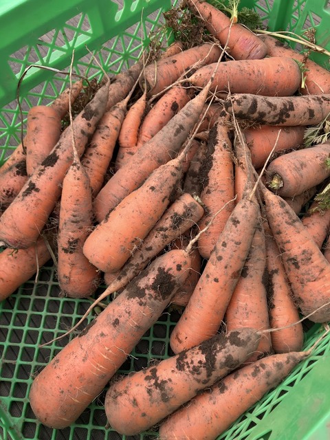 CE49C484-C0EB-4CA2-9A0B-8BCE24EEC617