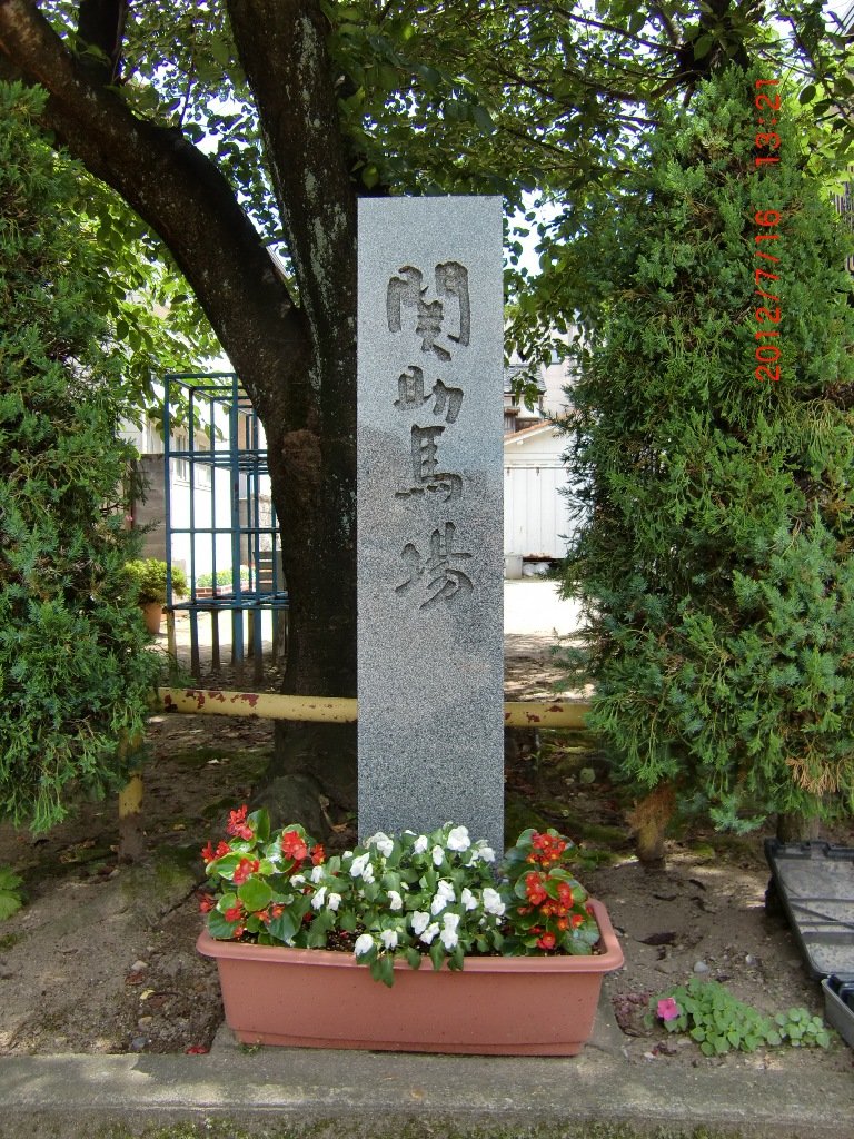 シミジジ・ブログ