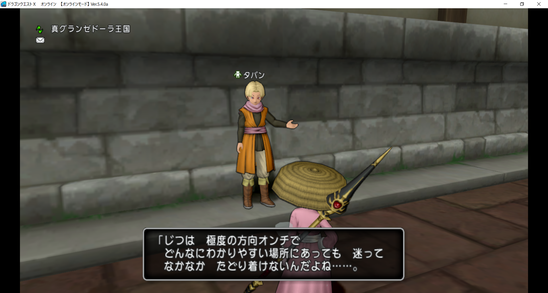 Dqx Ver 5 4プレイ日記 1 水色雫と桃色丸