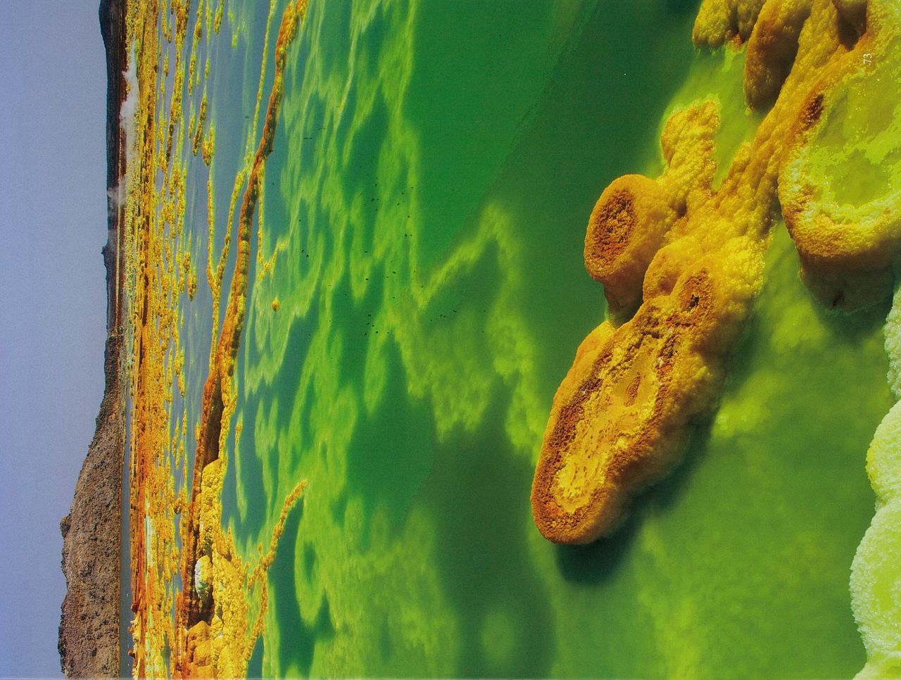 フランス語の勉強