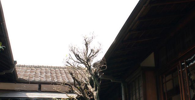 フランス語の勉強 フランス語