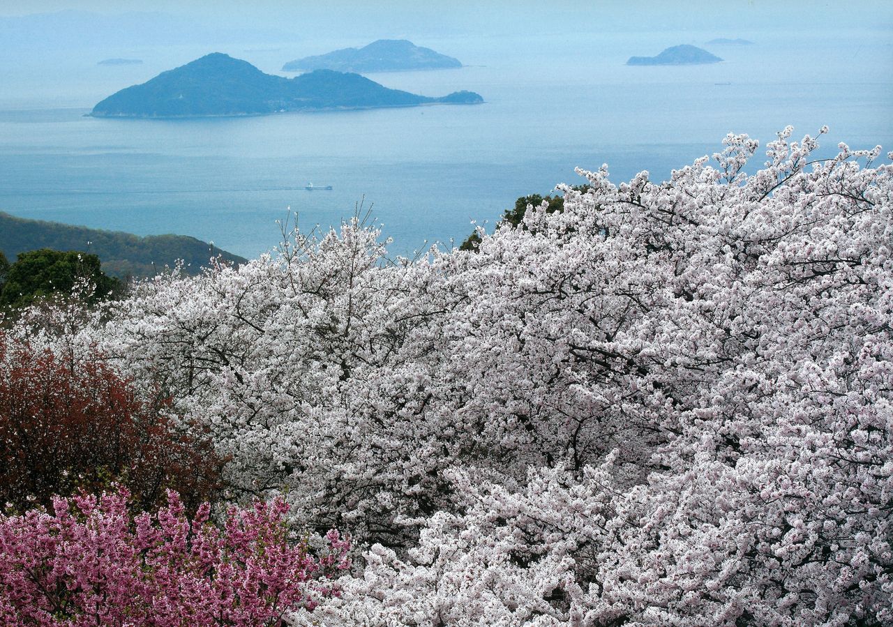 フランス語の勉強 フランス語