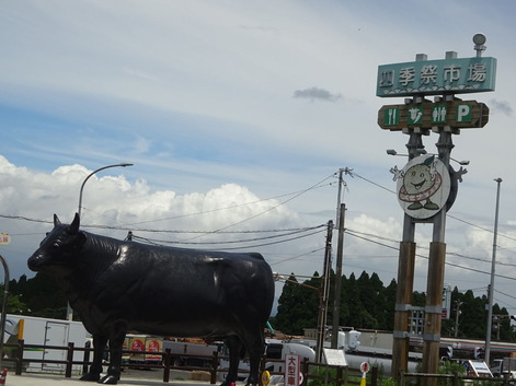 四季祭市場_曽於すえよし190729