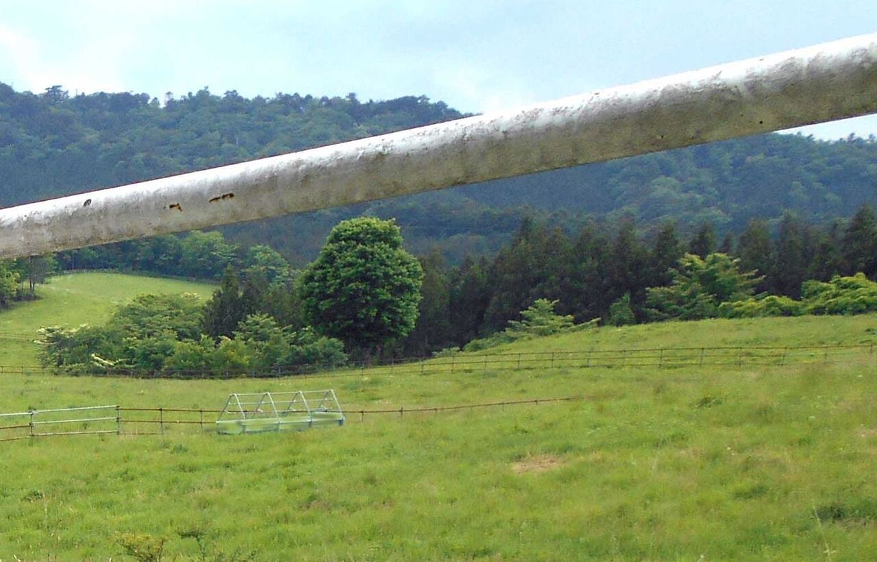 フランス語の勉強 フランス語