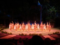 �ݥ�ͥ����󥫥���㡼���󥿡�