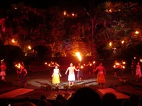 �ݥ�ͥ����󥫥���㡼���󥿡�