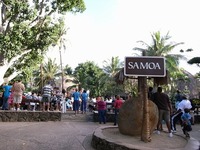 �ݥ�ͥ����󥫥���㡼���󥿡�