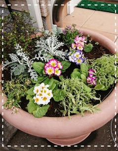 19-11-28-10-14-17-784_deco