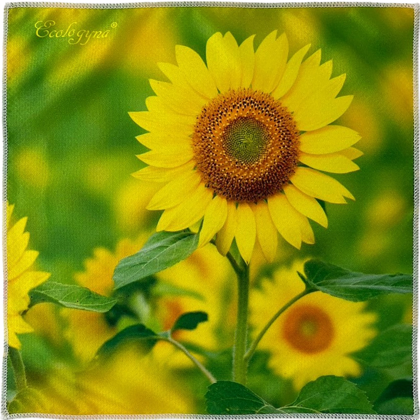 �����륿����gsm160g���ݥꥨ���ƥ�100��_sunflower(������)��WX��