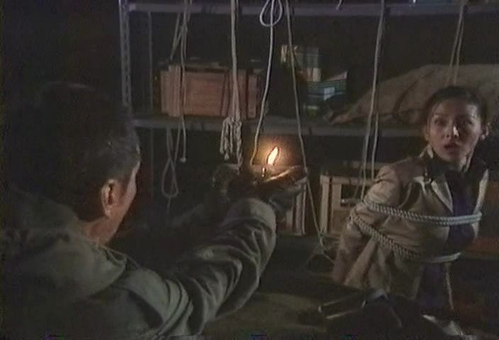 見逃したドラマ 新 部長刑事アーバンポリス24 ヒロインアクションの復権を