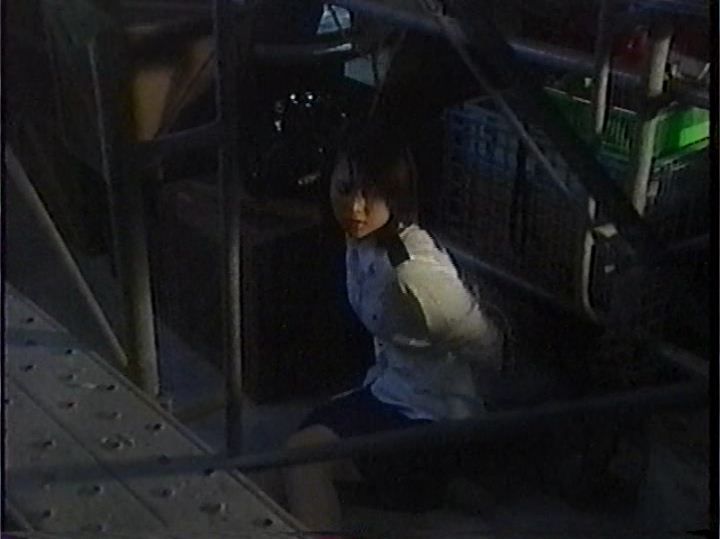 あの頃ドラマ 逮捕しちゃうぞ ヒロインアクションの復権を あの頃ドラマ 逮捕しちゃうぞ ヒロインアクションの復権を