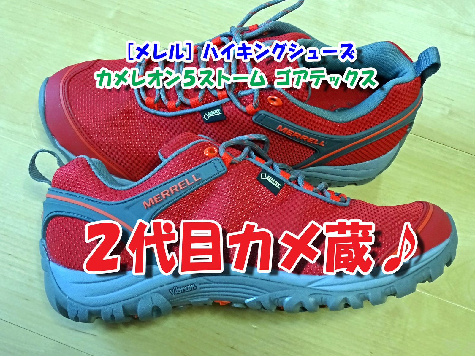 ２代目 カメ蔵 メレル ハイキングシューズ カメレオン５ 食いしん坊シモさん
