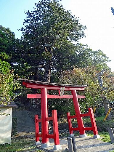 Ä«¥Ý¥¿ (44)