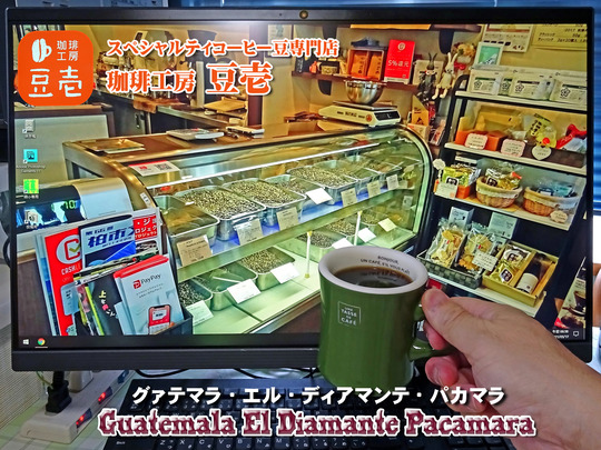豆壱
