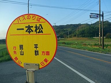 Ä«¥Ý¥¿ (40)