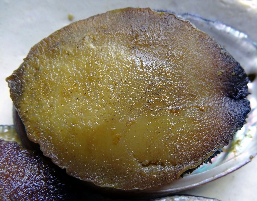 トコブシ 食いしん坊シモさん