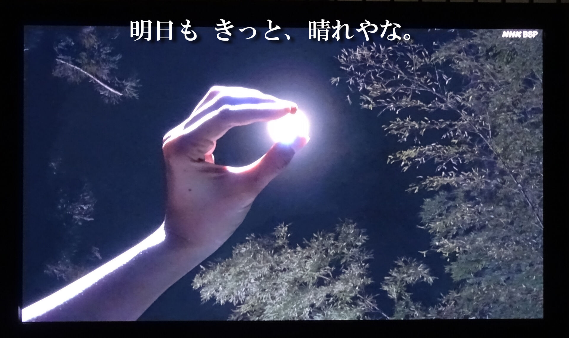 明日も きっと 晴れやな 食いしん坊シモさん 明日も きっと 晴れやな 食いしん坊シモさん