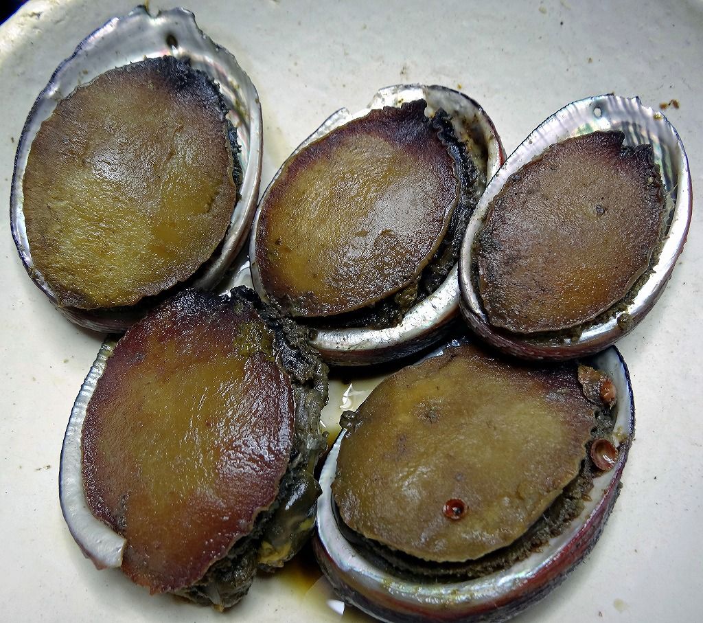 トコブシ 食いしん坊シモさん