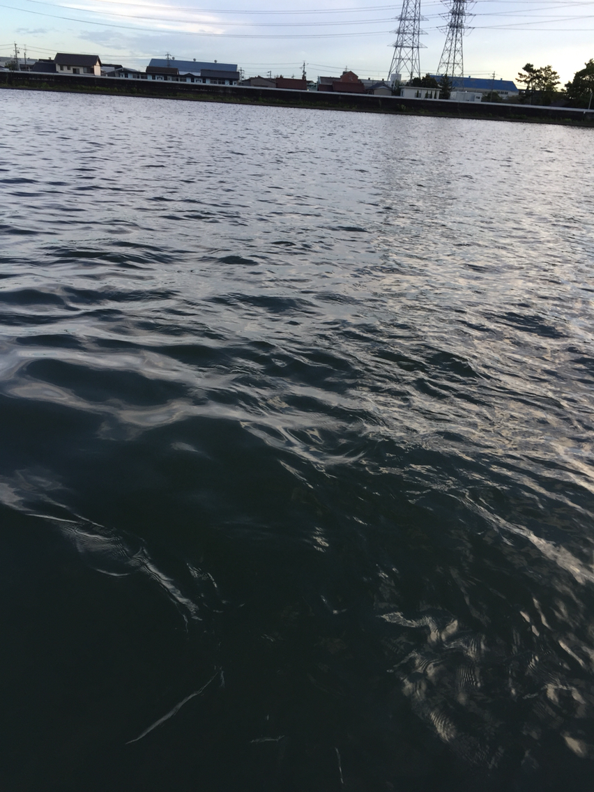 天白川 シーバス短時間釣行 Random Fishing 天白川 シーバス短時間釣行 Random Fishing