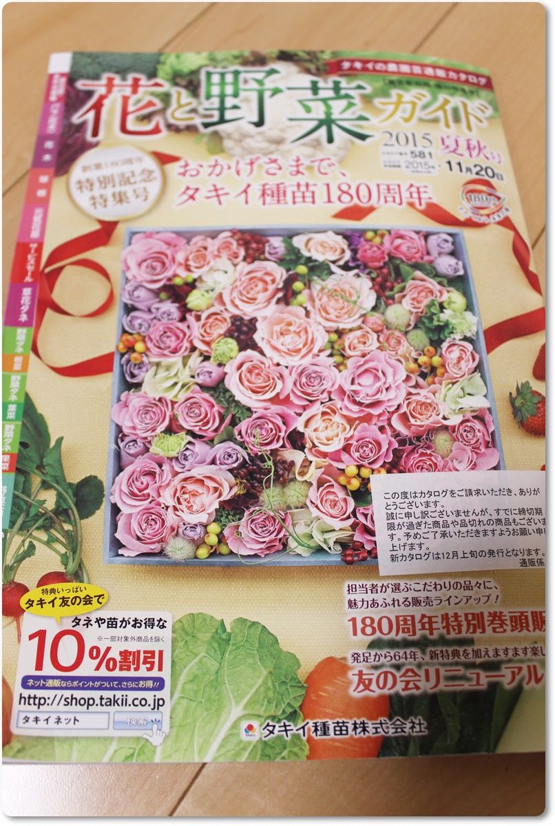 紅ほっぺ 雨上がりの空の下