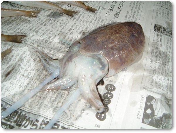 03年05月 雨上がりの空の下