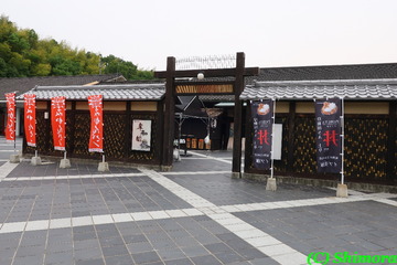w_IMG_0417