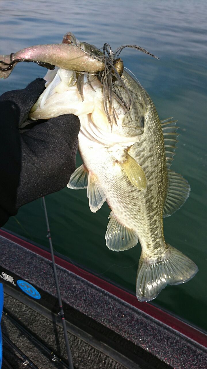 バスフィッシング一式 寒い1日。55センチのビッグバスに、80センチオーバーのビッグ