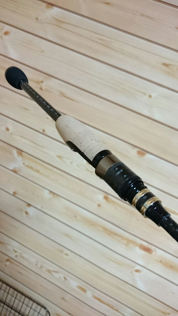 エバグリーンヘラクレスFACT61ULST