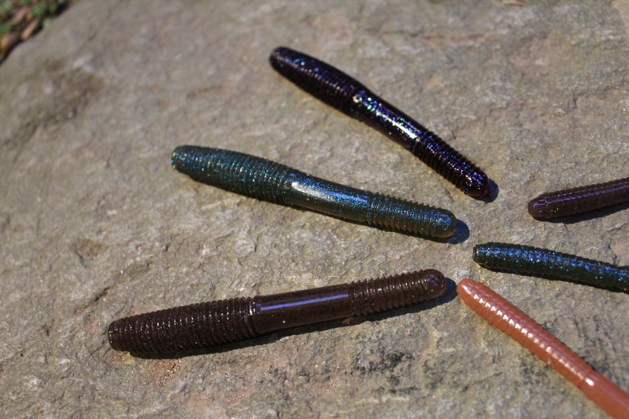 あのアイテムに注目の新色が 下敷領のええやん 琵琶湖バスフィッシングガイド