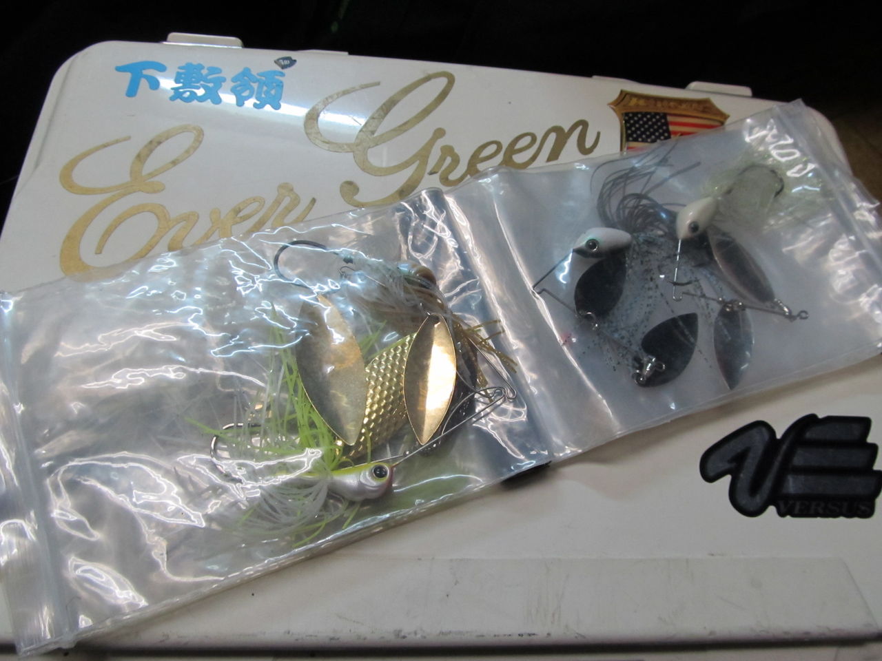 楽しみなアイテムが 下敷領のええやん 琵琶湖バスフィッシングガイド