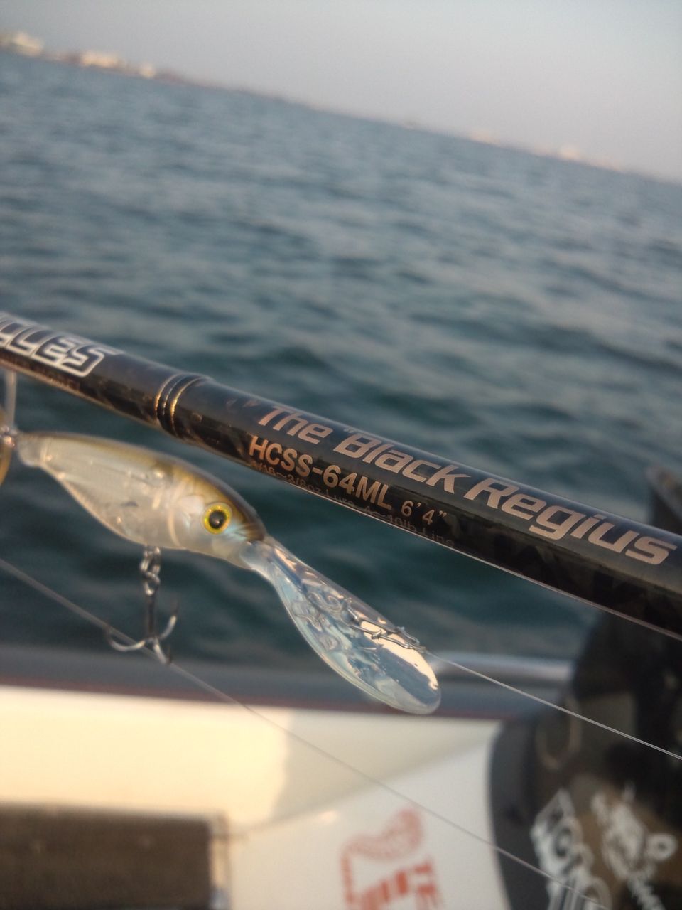 琵琶湖の今を釣るなら 下敷領のええやん 琵琶湖バスフィッシングガイド 琵琶湖の今を釣るなら 下敷領のええやん 琵琶湖バスフィッシングガイド
