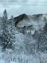 IMG_0733