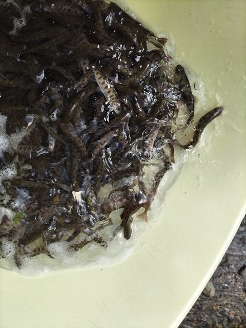 KIMG20250917_105041866