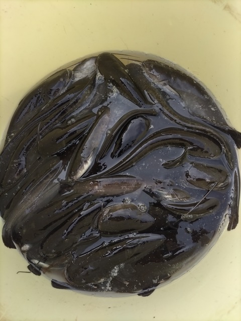 KIMG20251020_140025055