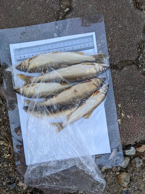 PXL_20220803_092626713