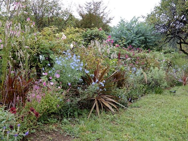 秋のオープンガーデン見学バスツアー しもつけオープンガーデンクラブ