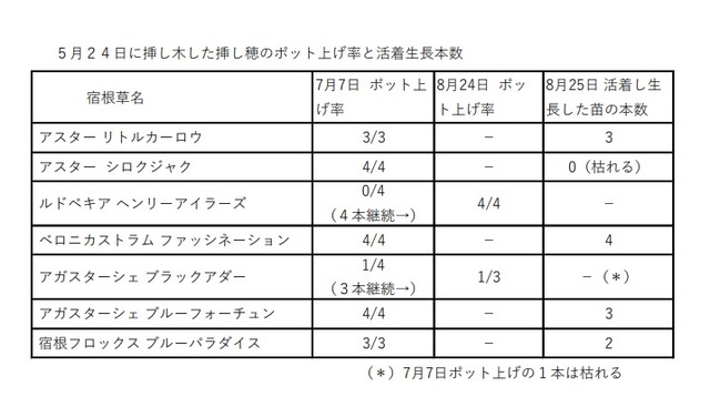 チェルシーチョップ枝ポット上げ表