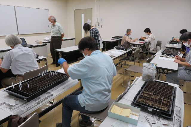 seedsow 2022 02