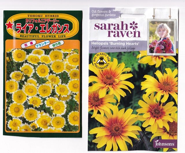 winter sowing 2023 3