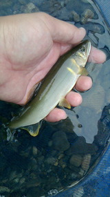 image_20160614_214823110