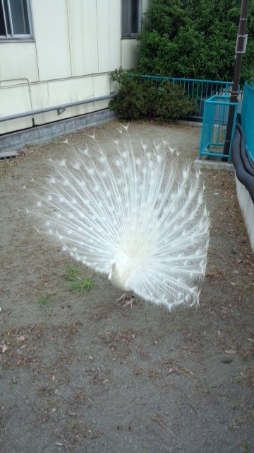 4df3785d.jpg